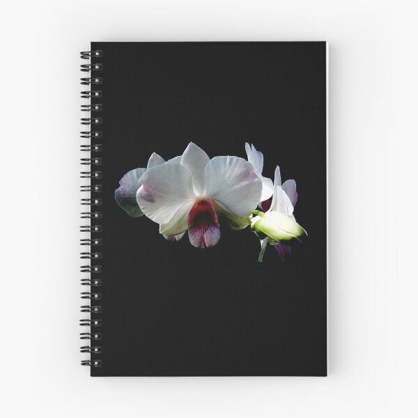 Item preview, orchid designed and sold by michelle meenawong.