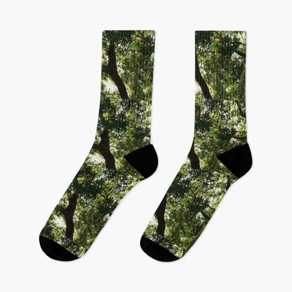 Item preview, Tree Starburst Background designed and sold by KbytesOfJax Outdoor and Nature.