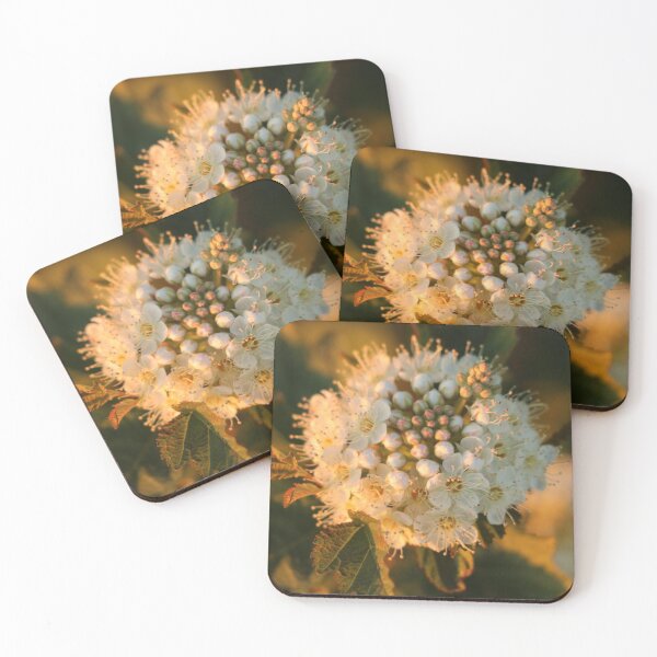 Item preview, Bunches. 2019. designed and sold by AyotlPhotograph.