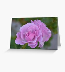 Lavender twins, landscape Greeting Card