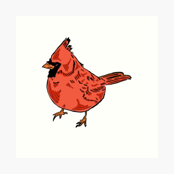 Cardinal Art Print