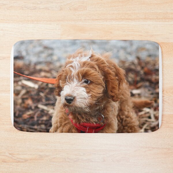 Item preview, 12 week old puppy designed and sold by GreyFeatherPhot.