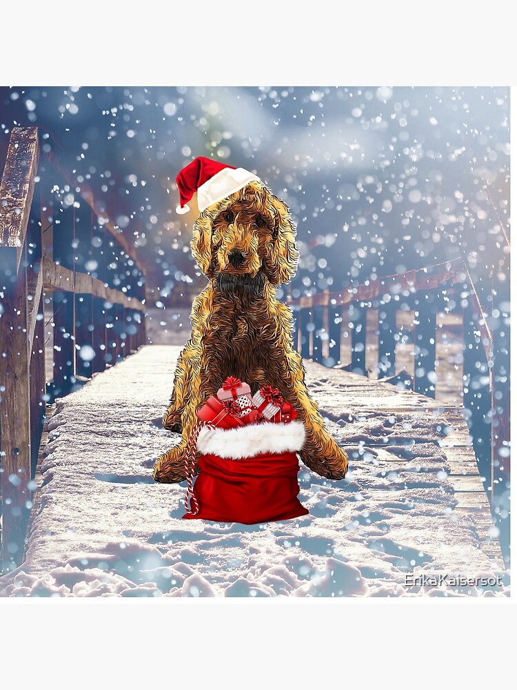 Christmas Dog Goldendoodle Poodle