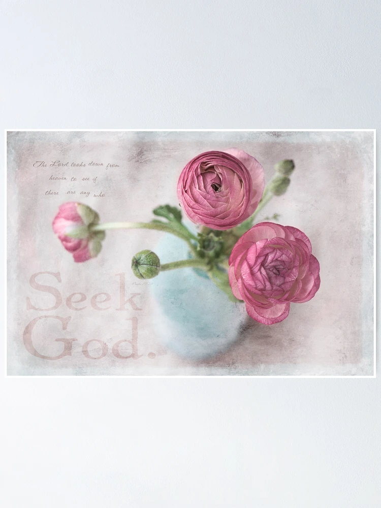 Thumbnail 1 of 3, Poster, Pink Ranunculus designed and sold by JulieLegg.