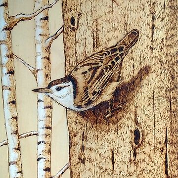 Pyrography: Three Birds, Nuthatches, Birch Trees, Freehand Art  Photographic Print for Sale by Joyce Geleynse