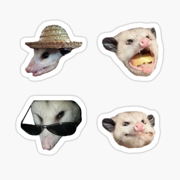 Oppossums Sticker