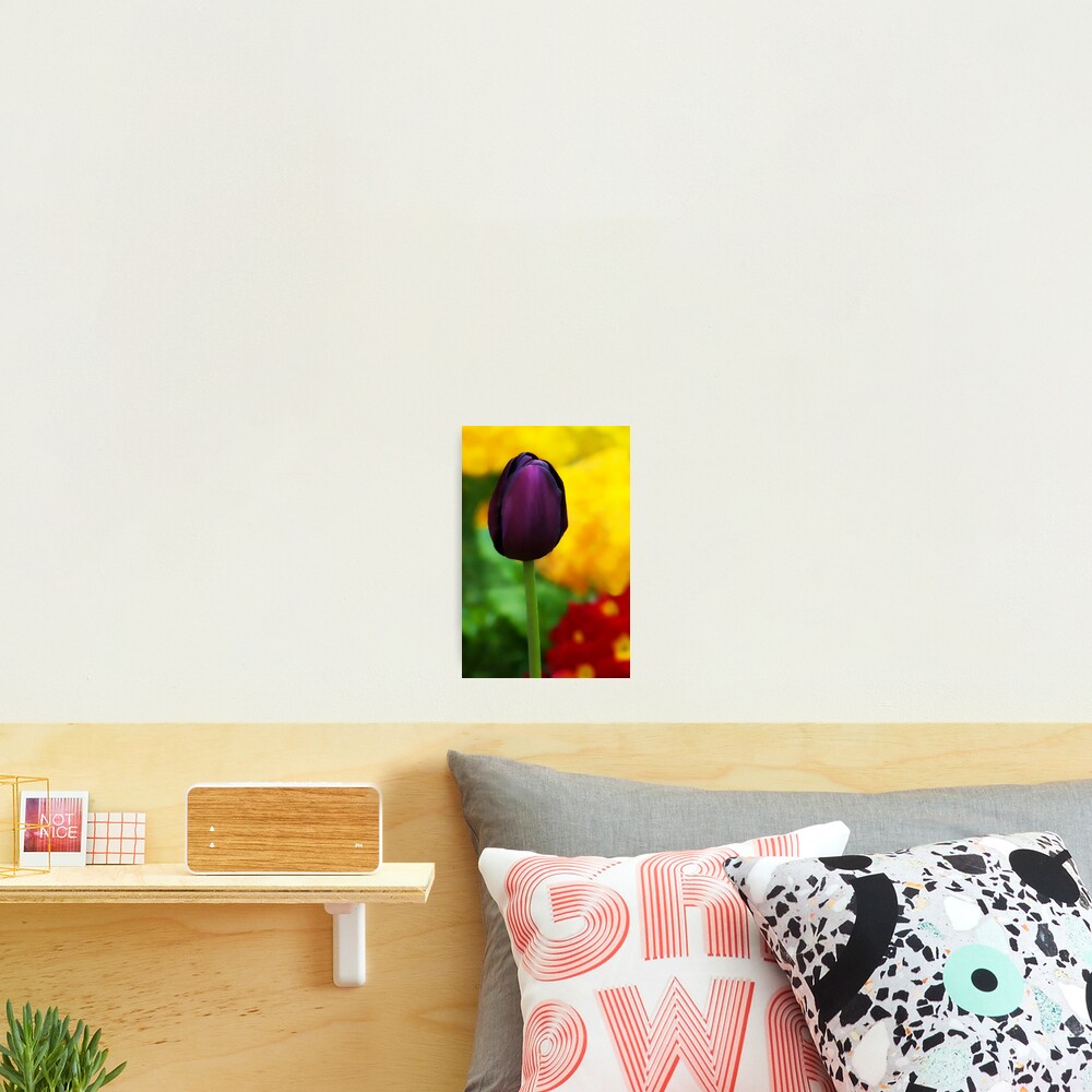 Item preview, Photographic Print designed and sold by Siska.