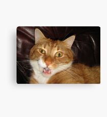 04 - MAO YAWNING (D.E. 2011) Canvas Print