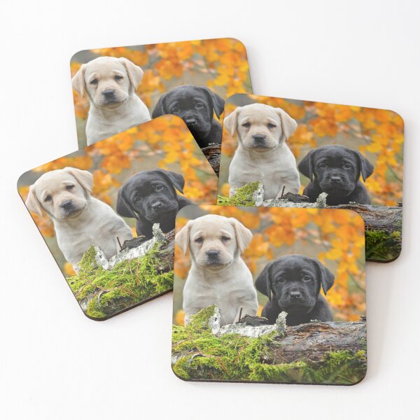 Item preview, Autumn labradors designed and sold by PetsArt.