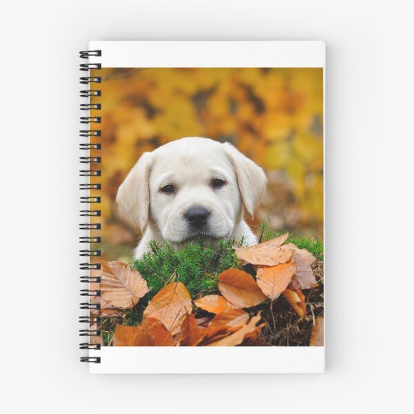 Item preview, Autumn lab designed and sold by PetsArt.