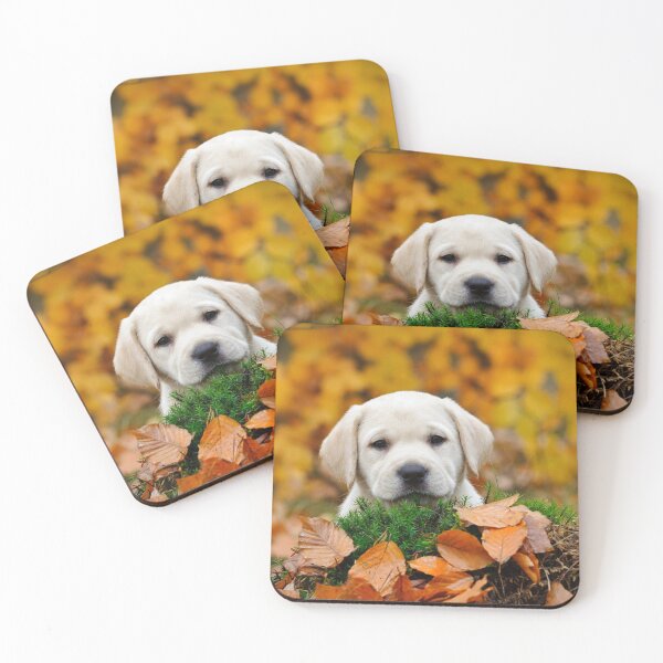 Item preview, Autumn lab designed and sold by PetsArt.