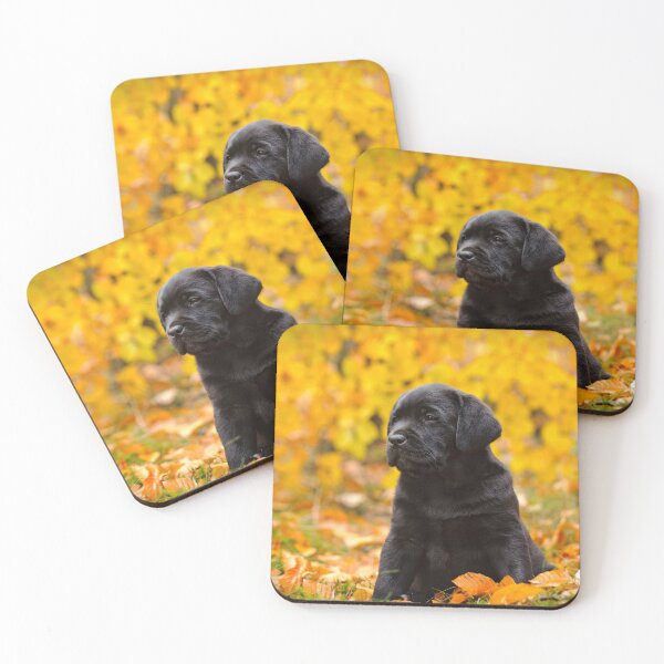 Item preview, Autumn lab designed and sold by PetsArt.
