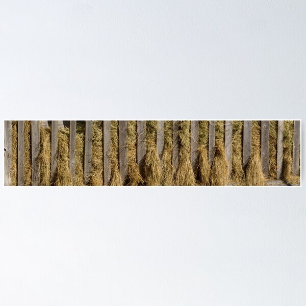 Item preview, Cratch designed and sold by Walter Quirtmair.