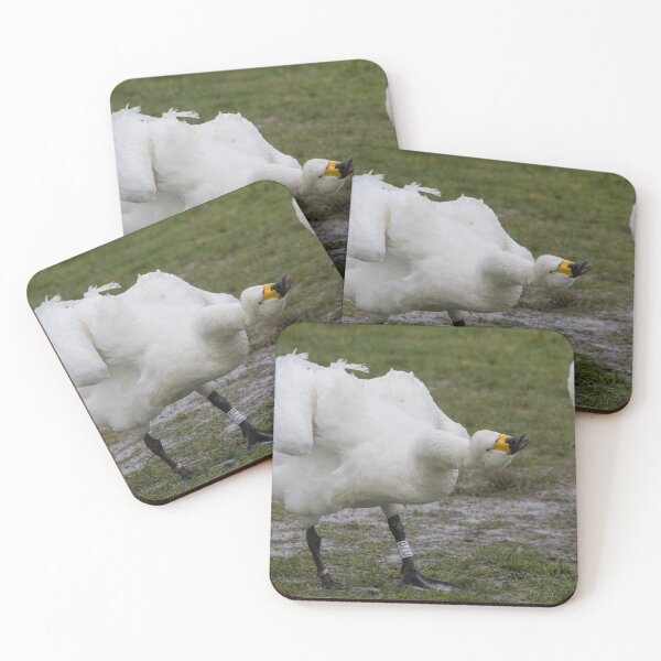 Item preview, Bewick Swan designed and sold by LaurenTucker.