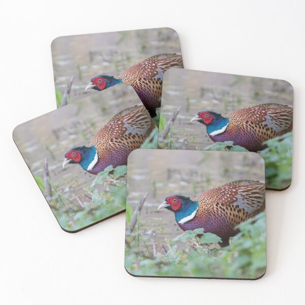 Item preview, Pheasant designed and sold by LaurenTucker.