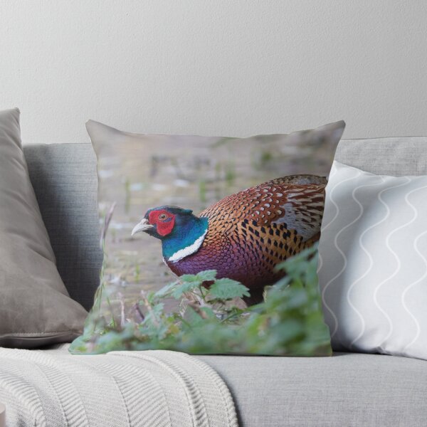 Item preview, Pheasant designed and sold by LaurenTucker.