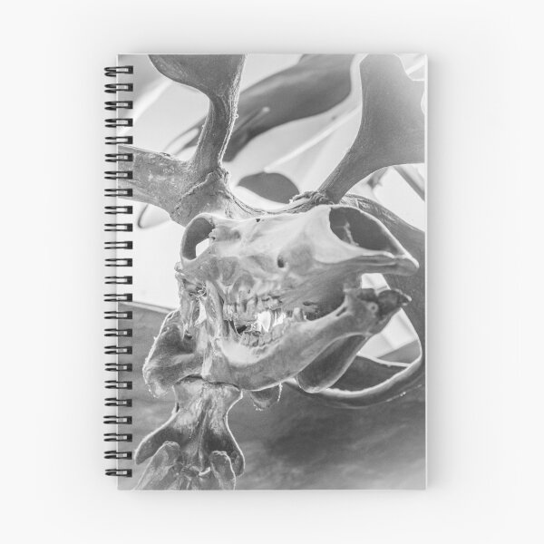 Item preview, Animal Skull designed and sold by mistersai.