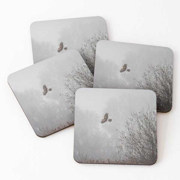 Item preview, Northern Harrier Hunting in Morning Fog designed and sold by AvocaSpring.