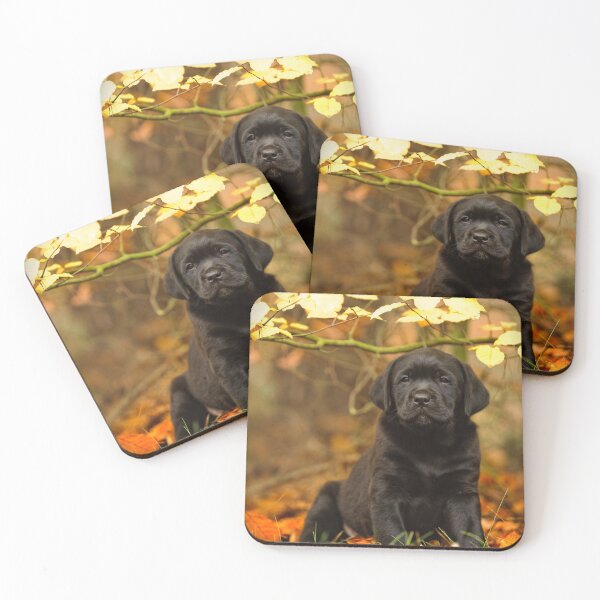 Item preview, Autumn labrador designed and sold by PetsArt.