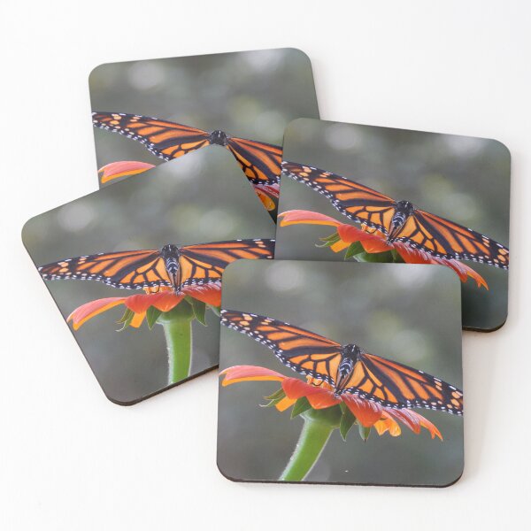 Item preview, Monarch Butterfly on Mexican Sunflower designed and sold by subiesam1993.