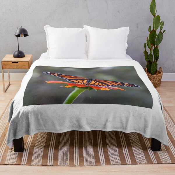 Item preview, Monarch Butterfly on Mexican Sunflower designed and sold by subiesam1993.