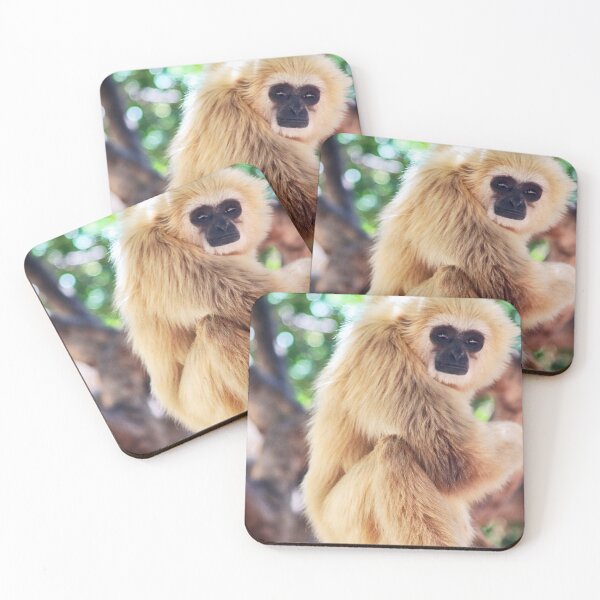 Item preview, White-Handed Gibbon Monkey designed and sold by KatieWilde04.