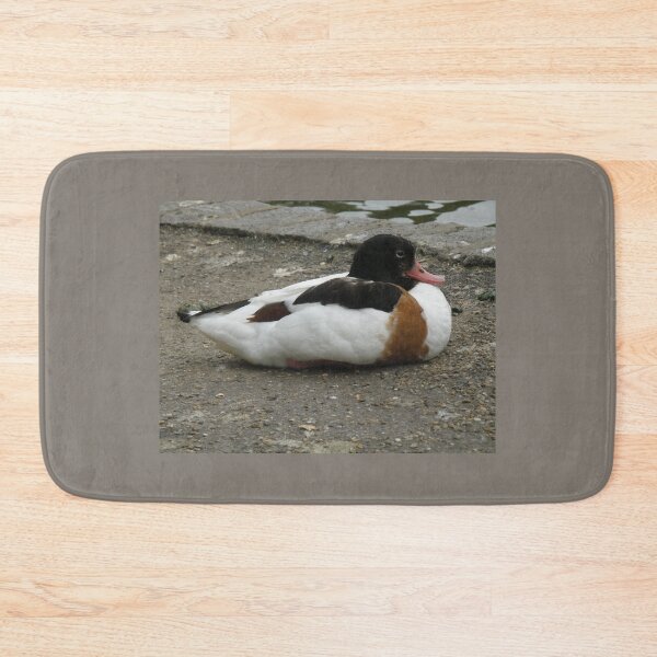 Item preview, Sleepy Shelduck on the Bank Photograph designed and sold by naturegallery.