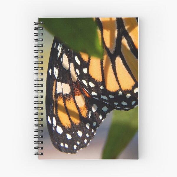 Item preview, Monarch Butterfly Wing Tip designed and sold by subiesam1993.