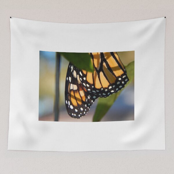 Item preview, Monarch Butterfly Wing Tip designed and sold by subiesam1993.