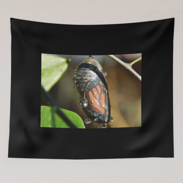 Item preview, Monarch Butterfly Preparing to Emerge designed and sold by subiesam1993.