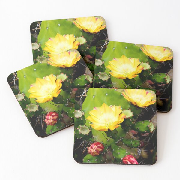 Item preview, Opuntia ficus-indica designed and sold by troianifabrizio.