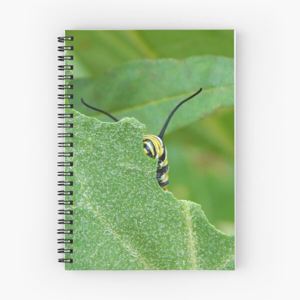 Item preview, Monarch Caterpillar Peering from Leaf designed and sold by subiesam1993.