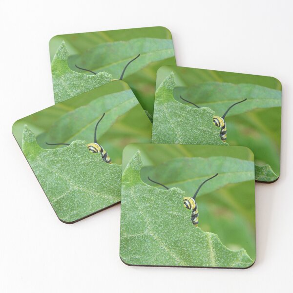 Item preview, Monarch Caterpillar Peering from Leaf designed and sold by subiesam1993.