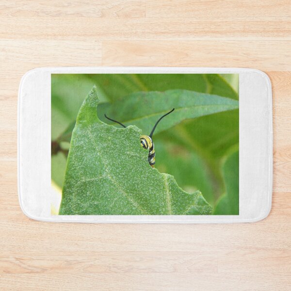 Item preview, Monarch Caterpillar Peering from Leaf designed and sold by subiesam1993.