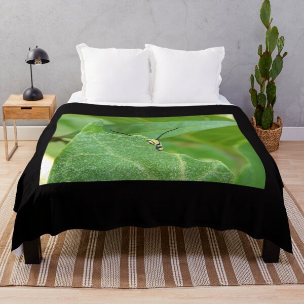 Item preview, Monarch Caterpillar Peering from Leaf designed and sold by subiesam1993.
