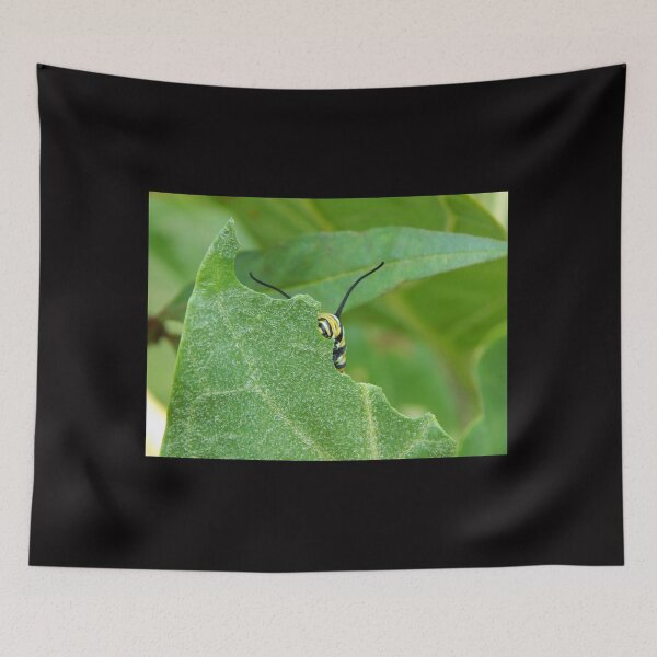 Item preview, Monarch Caterpillar Peering from Leaf designed and sold by subiesam1993.