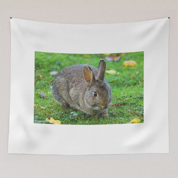 Item preview, Rabbit designed and sold by ellenmpics.