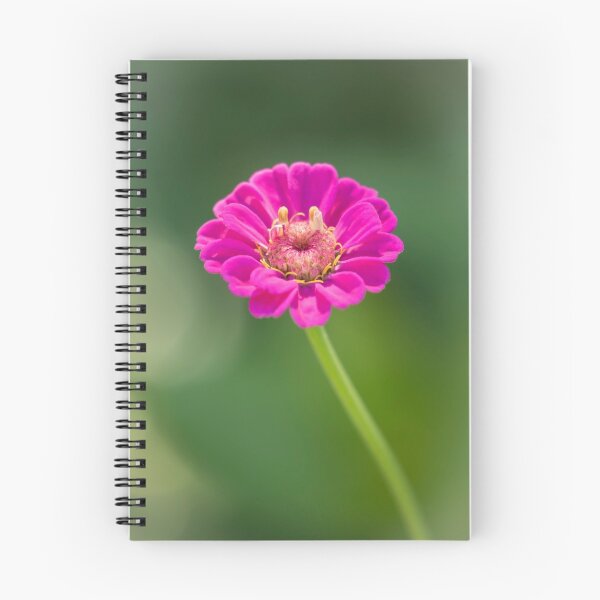 Item preview, Zinnia 1-2015 designed and sold by Thomasyoung.