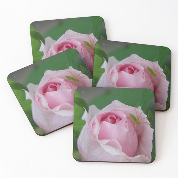 Item preview, Green Lynx Spider on Rose designed and sold by subiesam1993.