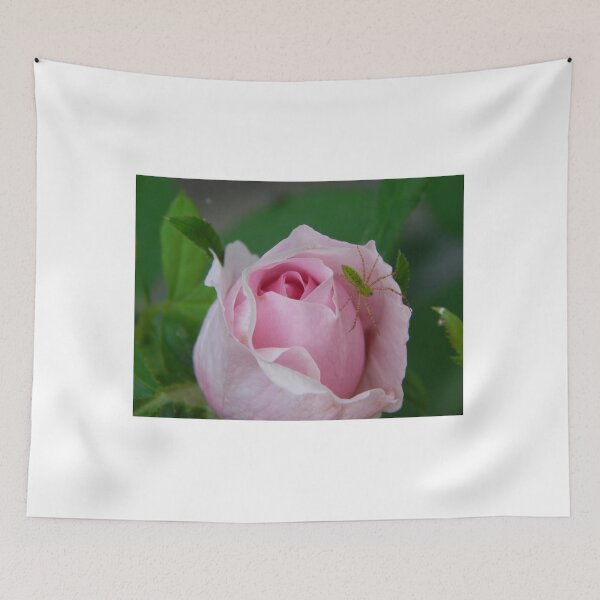 Item preview, Green Lynx Spider on Rose designed and sold by subiesam1993.