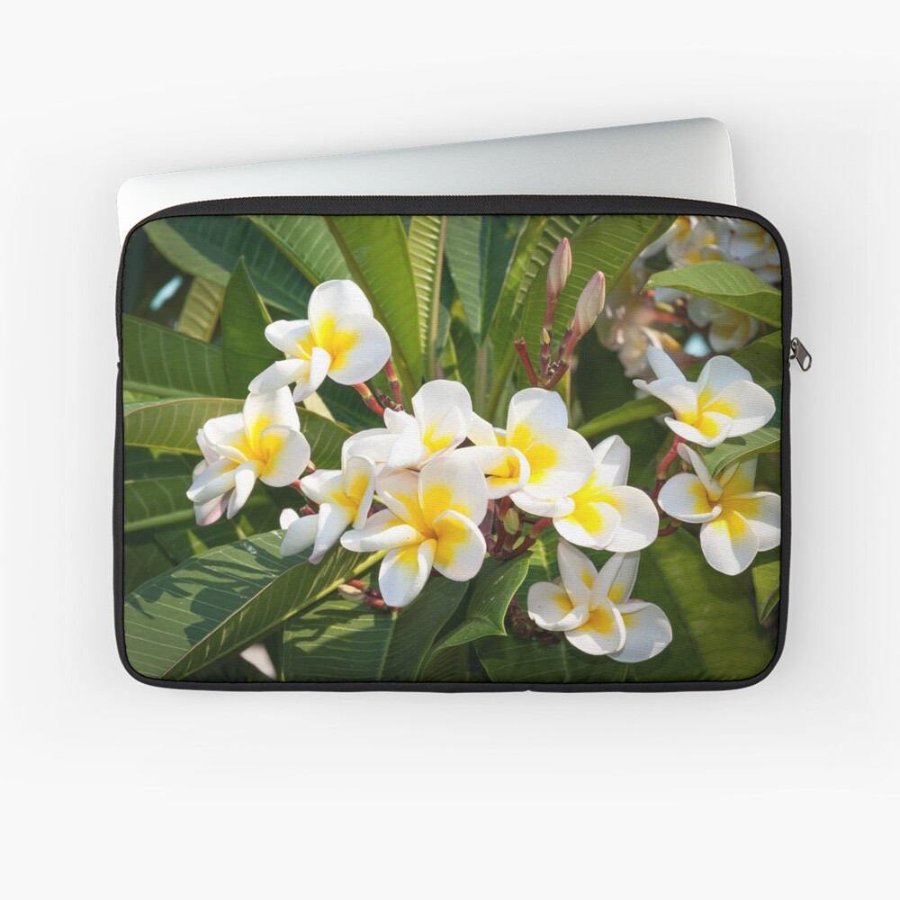 Artikel-Vorschau von Laptoptasche, designt und verkauft von Igelchen.