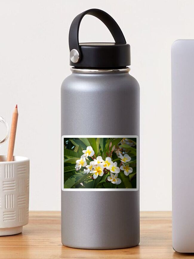Thumbnail 1 von 3, Sticker, Franjipani designt und verkauft von Igelchen.