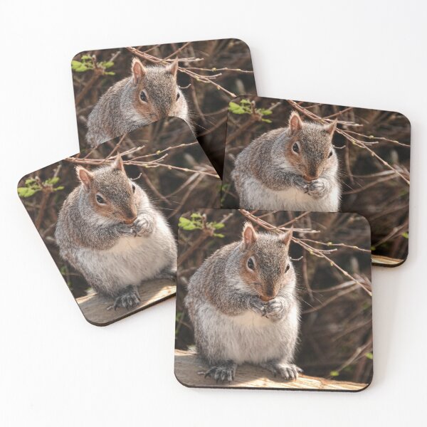 Item preview, Sammy's Found A Treat ............. designed and sold by lynn carter.