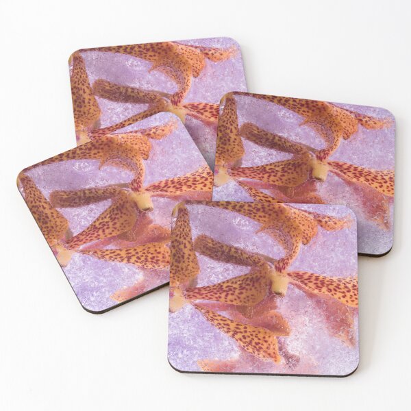 Item preview, FS-612 designed and sold by Zina Zinchik (Seletskaya).