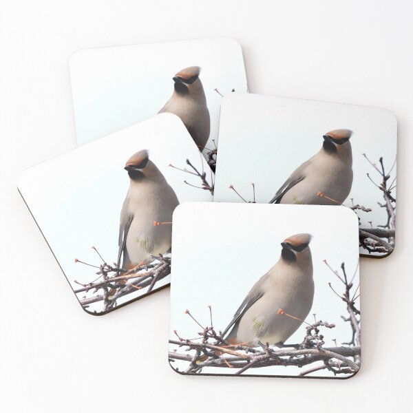 Item preview, Bohemian Waxwing. designed and sold by CanadianWild418.
