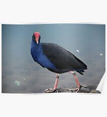 Tweed Waterfowl Poster