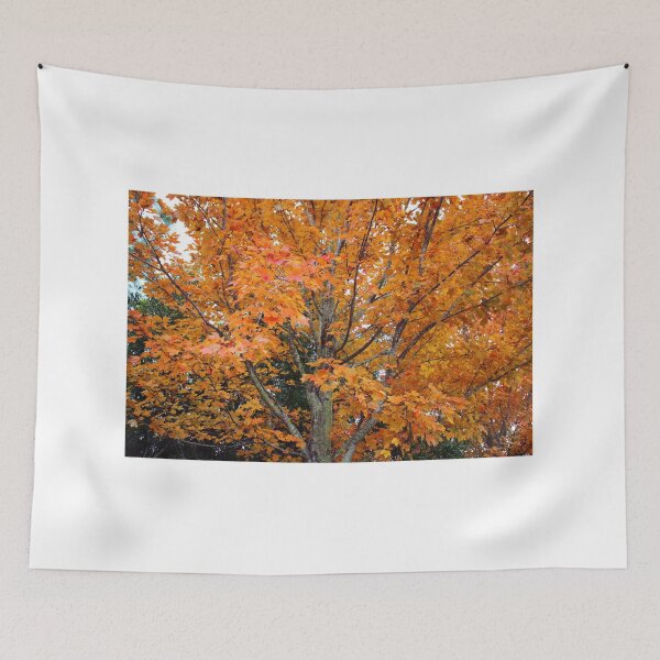 Item preview, Sugar Maple Tree designed and sold by Cynthia48.