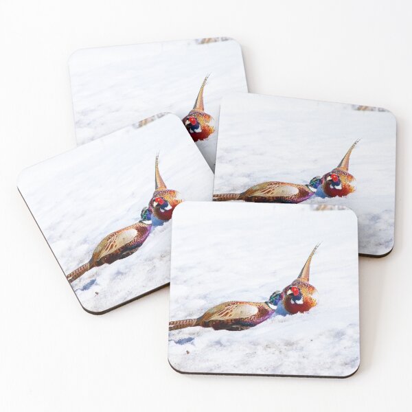 Item preview, Ring-necked pheasants fighting designed and sold by CanadianWild418.
