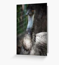 Old Man Emu Greeting Card