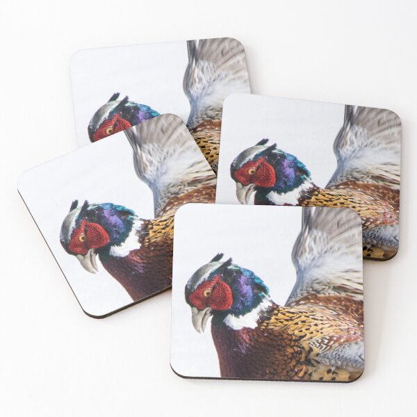Item preview, Ring-necked pheasant designed and sold by CanadianWild418.